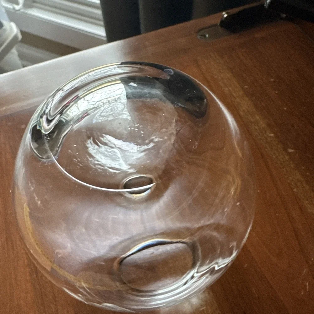 KROSNO Poland Clear Crystal Glass Vase‎ Etched DRAGONFLY for Crate & Barrel 4